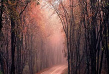 英超-萨卡1射2传哈弗茨破门 阿森纳5-2西汉姆联.