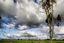 贝博体育:积极贯彻新发展理念 统筹推进体育事业高质量发展——国新办“推动高质量发展”系列主题新闻发布会聚焦体育事业.