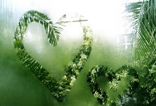 约基奇38+10锡安28分 小波特爆砍39分掘金轻取鹈鹕.