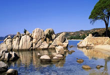 今年清明不一般!老人说:“60年难遇,4大属相避扫墓”,啥意思.